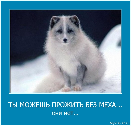 ТЫ МОЖЕШЬ ПРОЖИТЬ БЕЗ МЕХА... они нет...
