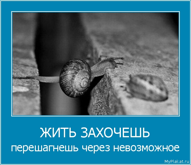ЖИТЬ ЗАХОЧЕШЬ перешагнешь через невозможное