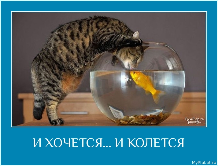 И ХОЧЕТСЯ... И КОЛЕТСЯ 