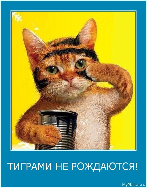ТИГРАМИ НЕ РОЖДАЮТСЯ! 