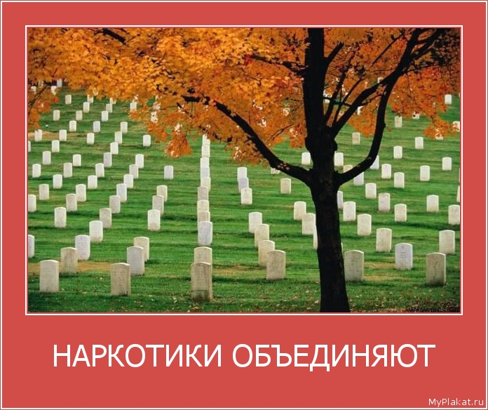 НАРКОТИКИ ОБЪЕДИНЯЮТ 