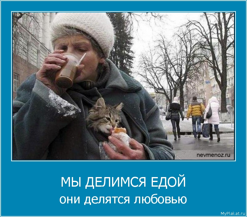 МЫ ДЕЛИМСЯ ЕДОЙ они делятся любовью