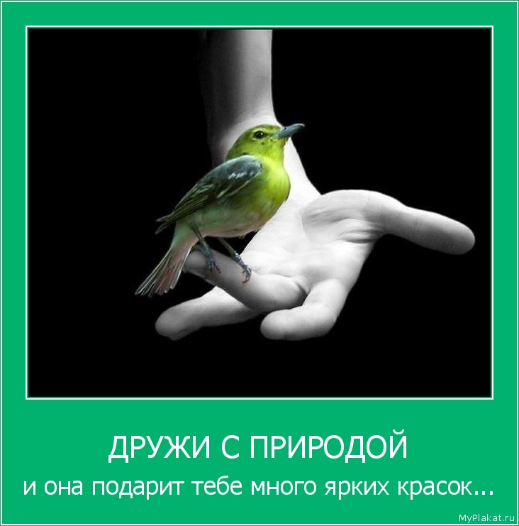 ДРУЖИ С ПРИРОДОЙ и она подарит тебе много ярких красок...