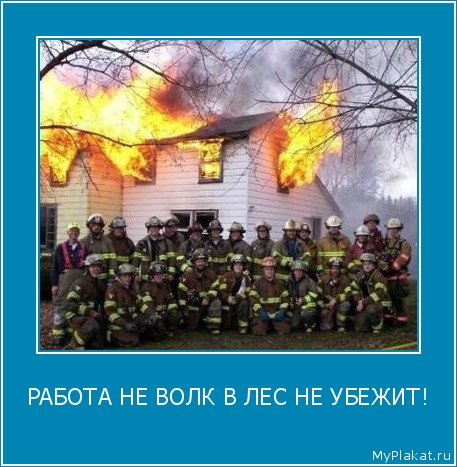 РАБОТА НЕ ВОЛК В ЛЕС НЕ УБЕЖИТ! 