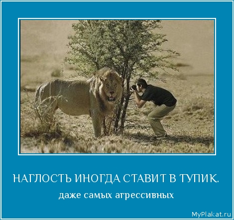 НАГЛОСТЬ ИНОГДА СТАВИТ В ТУПИК. даже самых агрессивных