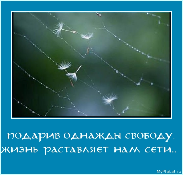 ПОДАРИВ ОДНАЖДЫ СВОБОДУ. жизнь раставляет нам сети..