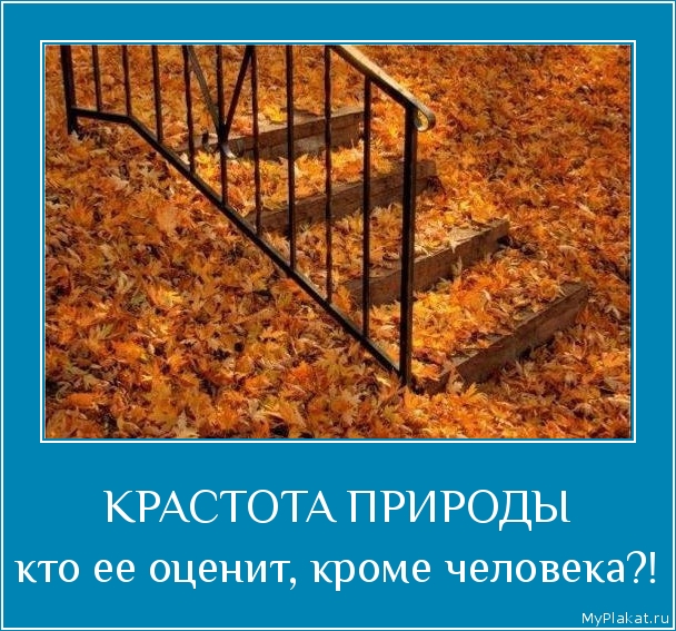 КРАСТОТА ПРИРОДЫ кто ее оценит, кроме человека?!