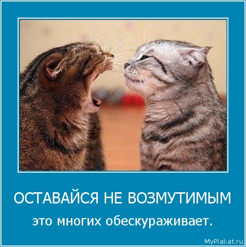 ОСТАВАЙСЯ НЕ ВОЗМУТИМЫМ это многих обескураживает.