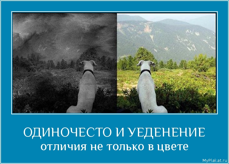 ОДИНОЧЕСТО И УЕДЕНЕНИЕ отличия не только в цвете