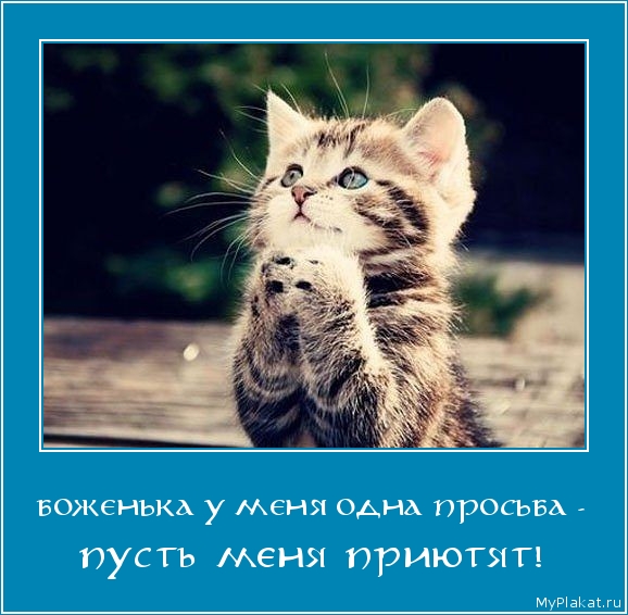 БОЖЕНЬКА У МЕНЯ ОДНА ПРОСЬБА - пусть меня приютят!