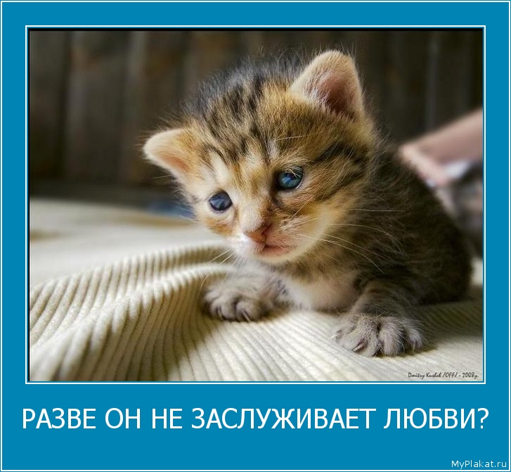 РАЗВЕ ОН НЕ ЗАСЛУЖИВАЕТ ЛЮБВИ? 