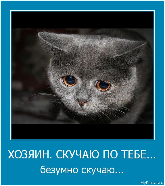 ХОЗЯИН. СКУЧАЮ ПО ТЕБЕ... безумно скучаю...