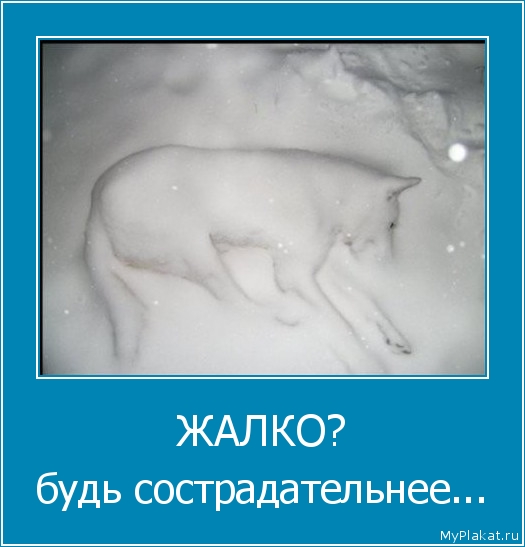 ЖАЛКО? будь сострадательнее...