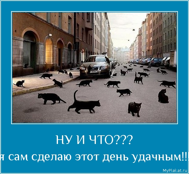 НУ И ЧТО??? я сам сделаю этот день удачным!!!