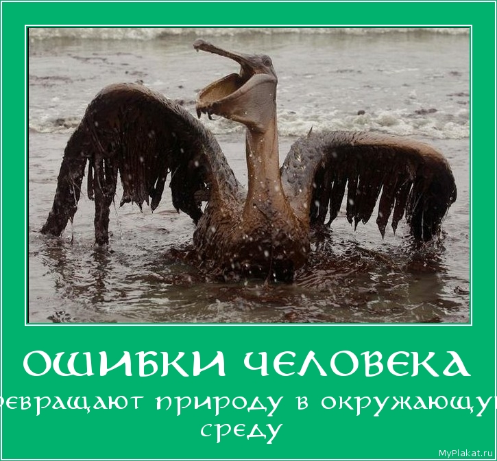 ОШИБКИ ЧЕЛОВЕКА превращают природу в окружающую среду