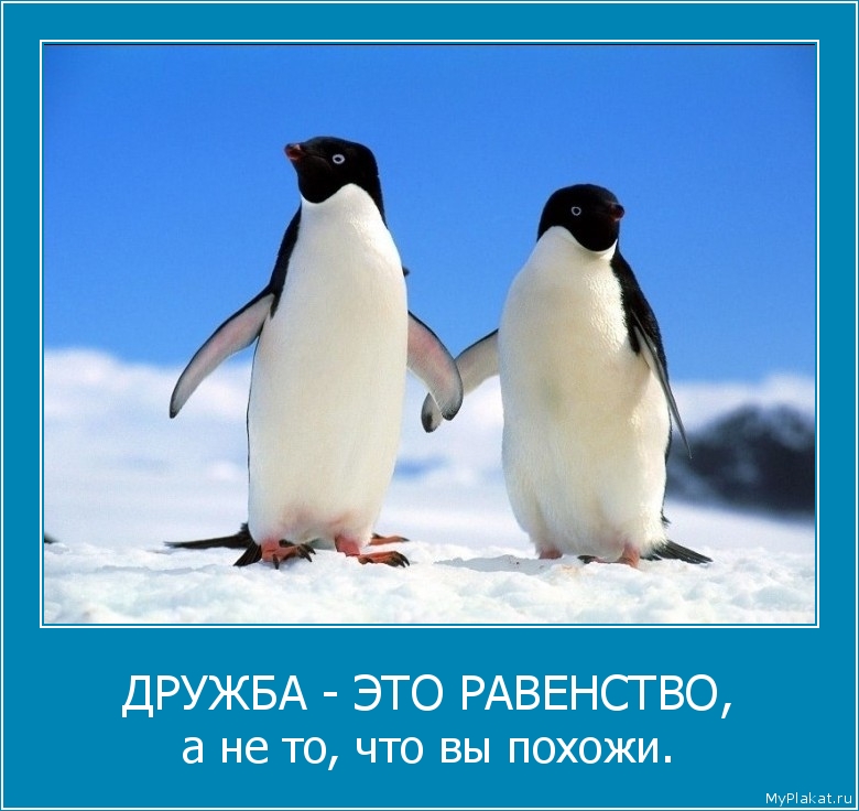 ДРУЖБА - ЭТО РАВЕНСТВО, а не то, что вы похожи.