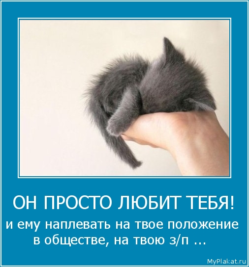 ОН ПРОСТО ЛЮБИТ ТЕБЯ! и ему наплевать на твое положение в обществе, на твою з/п ... 