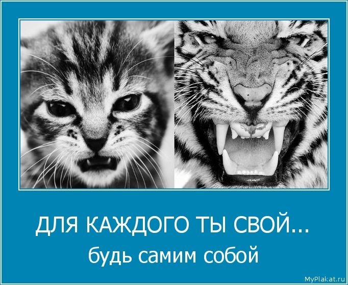 ДЛЯ КАЖДОГО ТЫ СВОЙ... будь самим собой