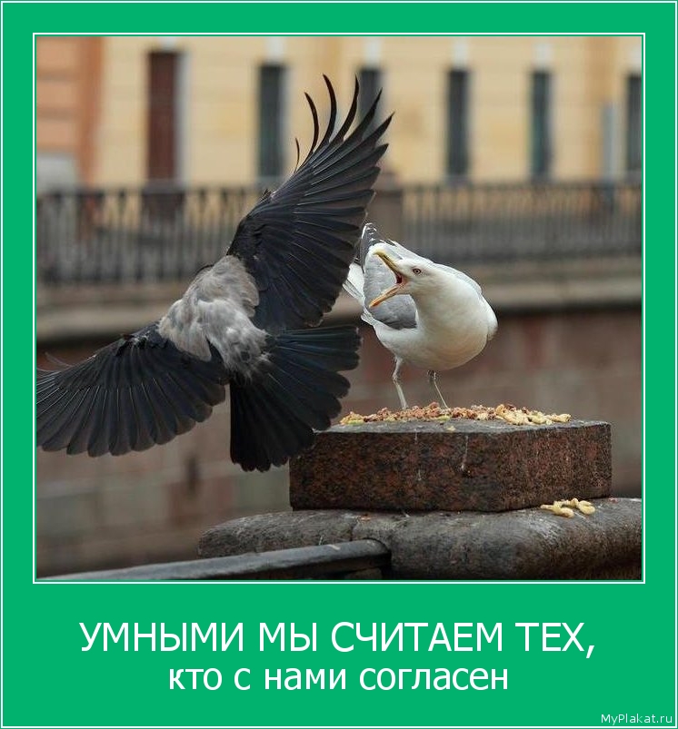 УМНЫМИ МЫ СЧИТАЕМ ТЕХ, кто с нами согласен