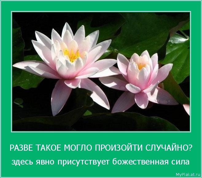 РАЗВЕ ТАКОЕ МОГЛО ПРОИЗОЙТИ СЛУЧАЙНО? здесь явно присутствует божественная сила
