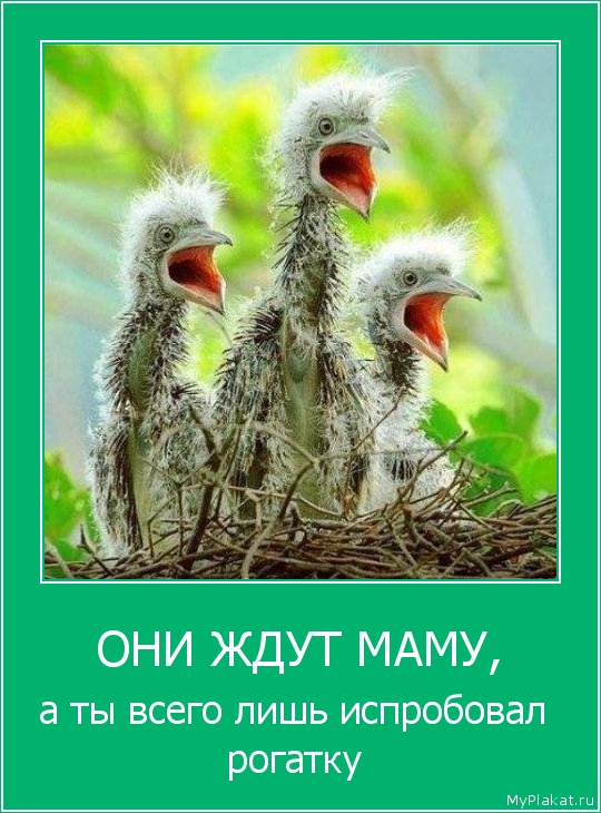 ОНИ ЖДУТ МАМУ, а ты всего лишь испробовал рогатку