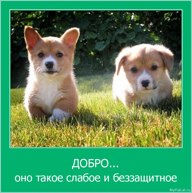 ДОБРО... оно такое слабое и беззащитное
