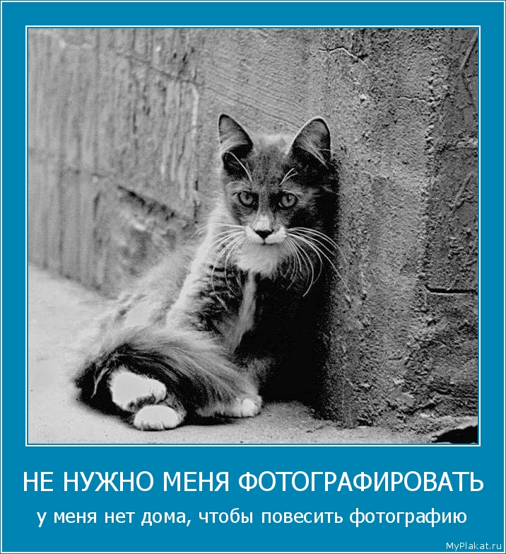 НЕ НУЖНО МЕНЯ ФОТОГРАФИРОВАТЬ у меня нет дома, чтобы повесить фотографию