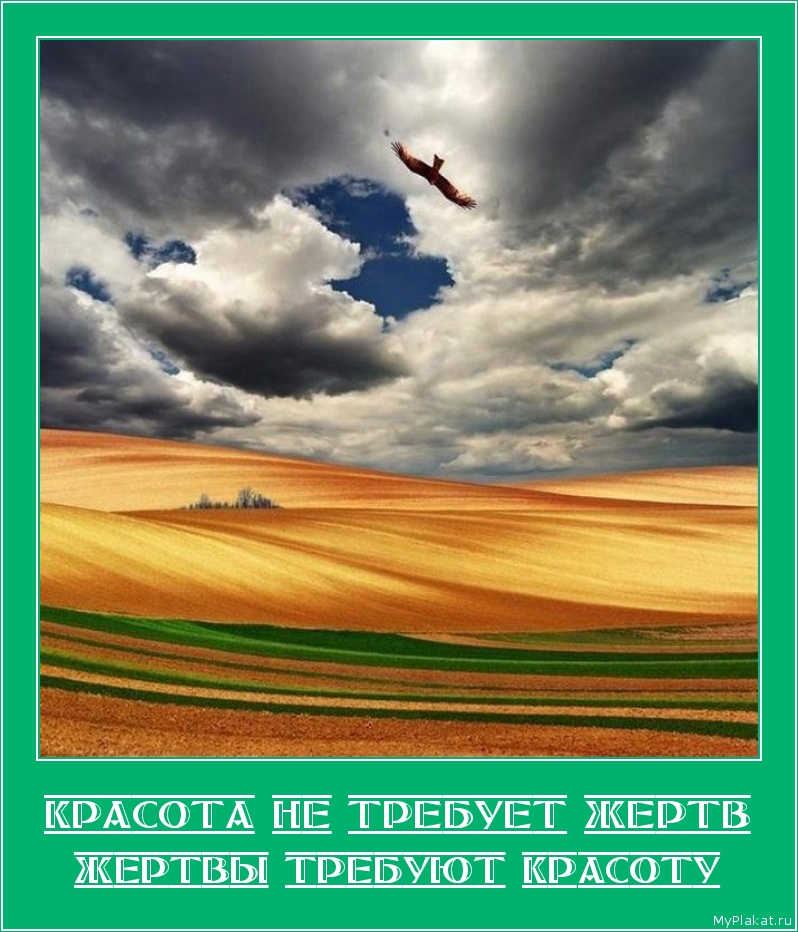 КРАСОТА НЕ ТРЕБУЕТ ЖЕРТВ жертвы требуют красоту