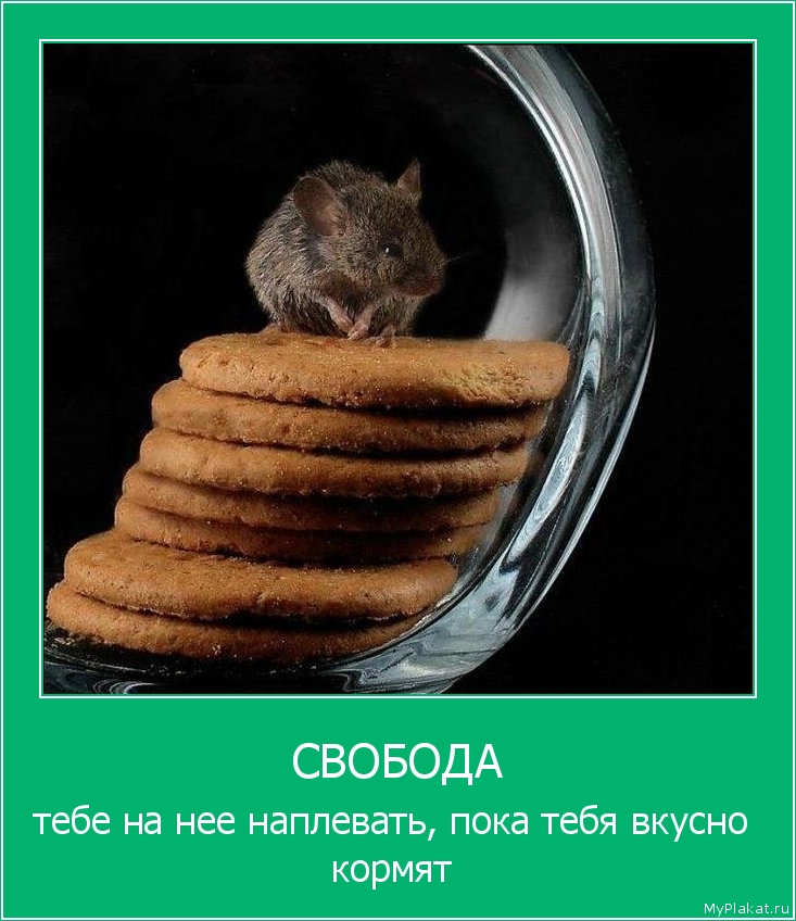 СВОБОДА тебе на нее наплевать, пока тебя вкусно кормят