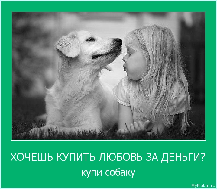 ХОЧЕШЬ КУПИТЬ ЛЮБОВЬ ЗА ДЕНЬГИ? купи собаку