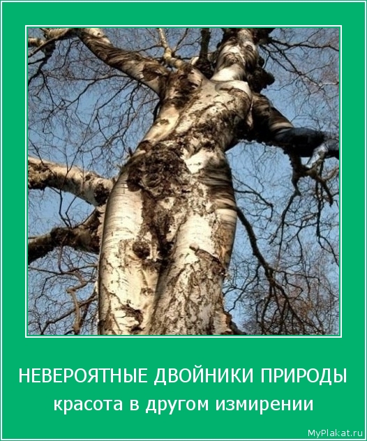 НЕВЕРОЯТНЫЕ ДВОЙНИКИ ПРИРОДЫ красота в другом измирении