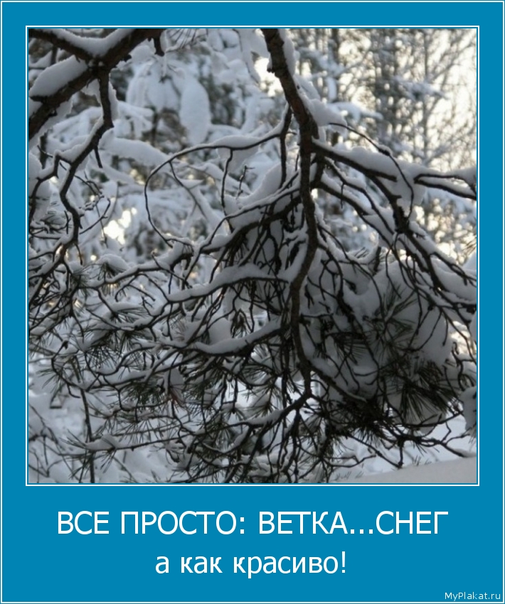 ВСЕ ПРОСТО: ВЕТКА...СНЕГ а как красиво!