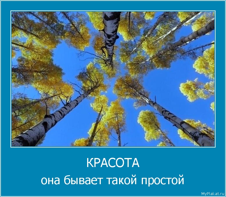 КРАСОТА она бывает такой простой