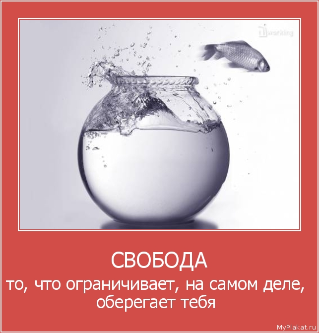 СВОБОДА то, что ограничивает, на самом деле, оберегает тебя