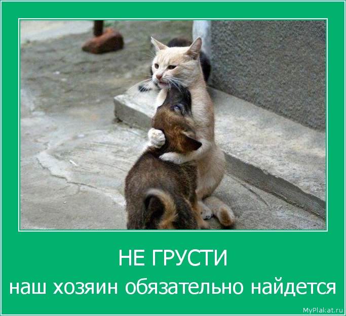 НЕ ГРУСТИ наш хозяин обязательно найдется