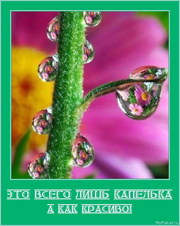 ЭТО ВСЕГО ЛИШЬ КАПЕЛЬКА а как красиво!