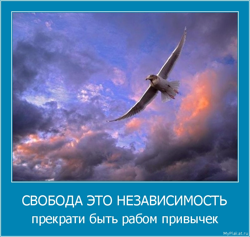 СВОБОДА ЭТО НЕЗАВИСИМОСТЬ прекрати быть рабом привычек