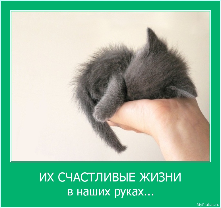 ИХ СЧАСТЛИВЫЕ ЖИЗНИ в наших руках...