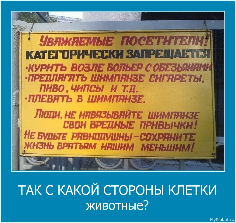 ТАК С КАКОЙ СТОРОНЫ КЛЕТКИ животные?