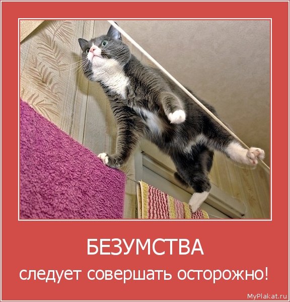 БЕЗУМСТВА следует совершать осторожно!