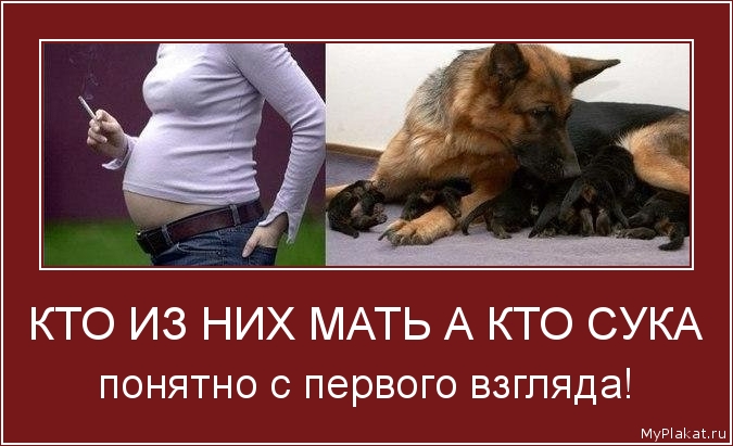 КТО ИЗ НИХ МАТЬ А КТО СУКА понятно с первого взгляда!