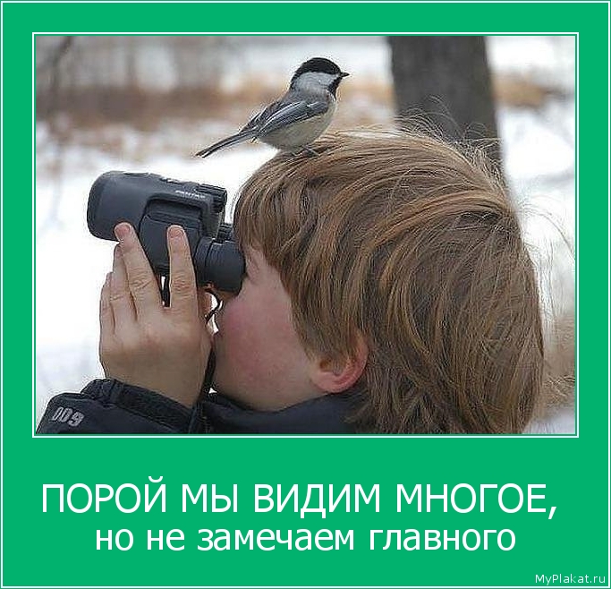 ПОРОЙ МЫ ВИДИМ МНОГОЕ,  но не замечаем главного
