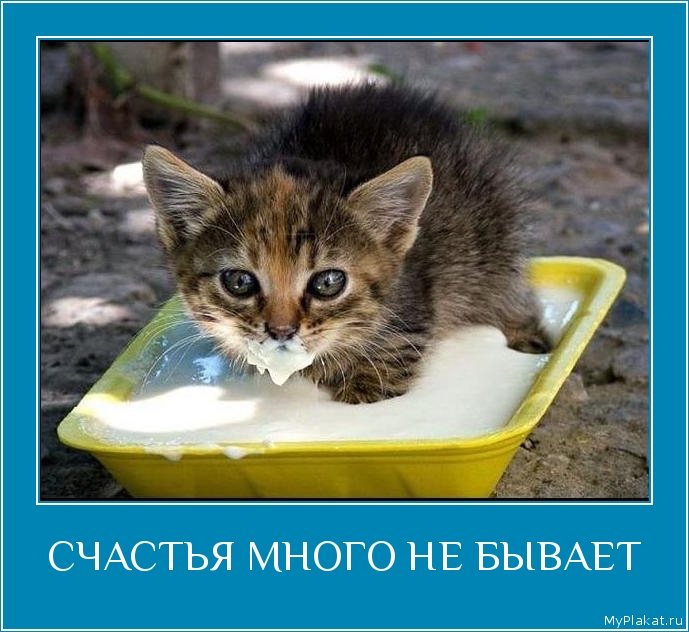 СЧАСТЬЯ МНОГО НЕ БЫВАЕТ 