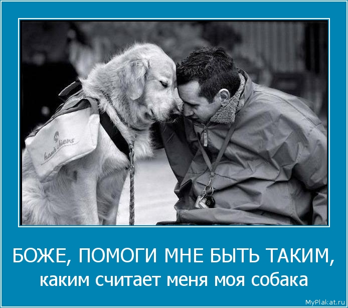 БОЖЕ, ПОМОГИ МНЕ БЫТЬ ТАКИМ, каким считает меня моя собака