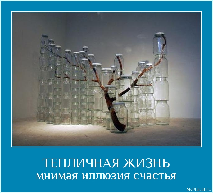 ТЕПЛИЧНАЯ ЖИЗНЬ мнимая иллюзия счастья