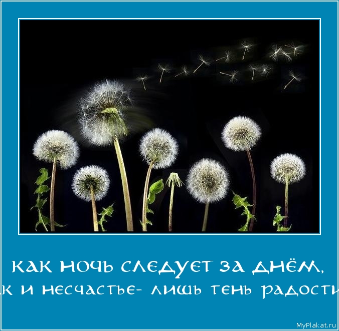 КАК НОЧЬ СЛЕДУЕТ ЗА ДНЁМ, так и несчастье- лишь тень радости.