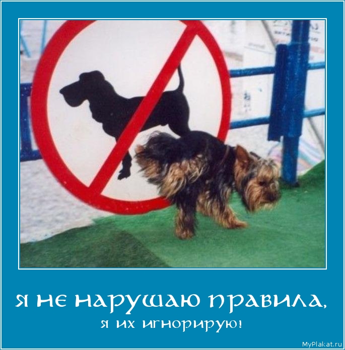 Я НЕ НАРУШАЮ ПРАВИЛА, я их игнорирую!