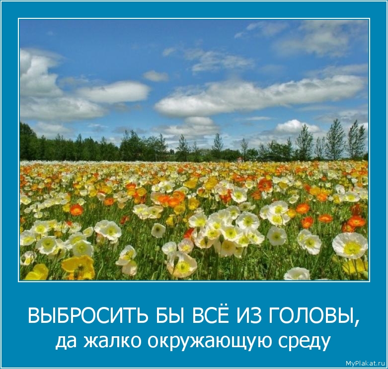 ВЫБРОСИТЬ БЫ ВСЁ ИЗ ГОЛОВЫ, да жалко окружающую среду