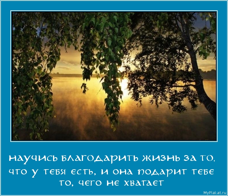 НАУЧИСЬ БЛАГОДАРИТЬ ЖИЗНЬ ЗА ТО,  что у тебя есть, и она подарит тебе то, чего не хватает