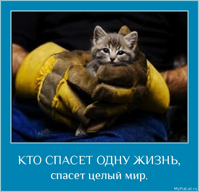 КТО СПАСЕТ ОДНУ ЖИЗНЬ, спасет целый мир.